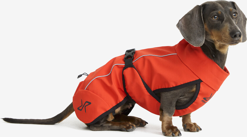 Cyclone Dog Jacket Hund Pureed Pumpkin, Størrelse:40 - Tilbehør > Hund