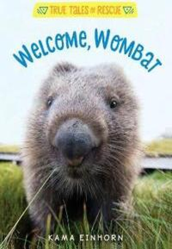 Welcome, Wombat