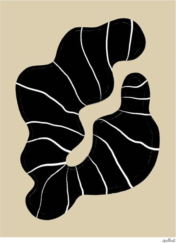 Beach Find plakat 50 x 70 cm