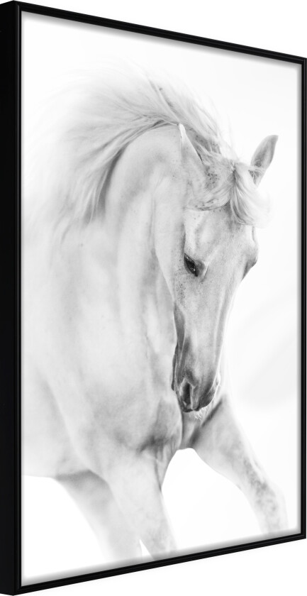 ARTGEIST Plakat med ramme - Beauty in Motion Gull med passepartout