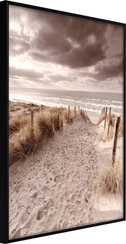 ARTGEIST Plakat med ramme - Sandy Path  Gull med passepartout