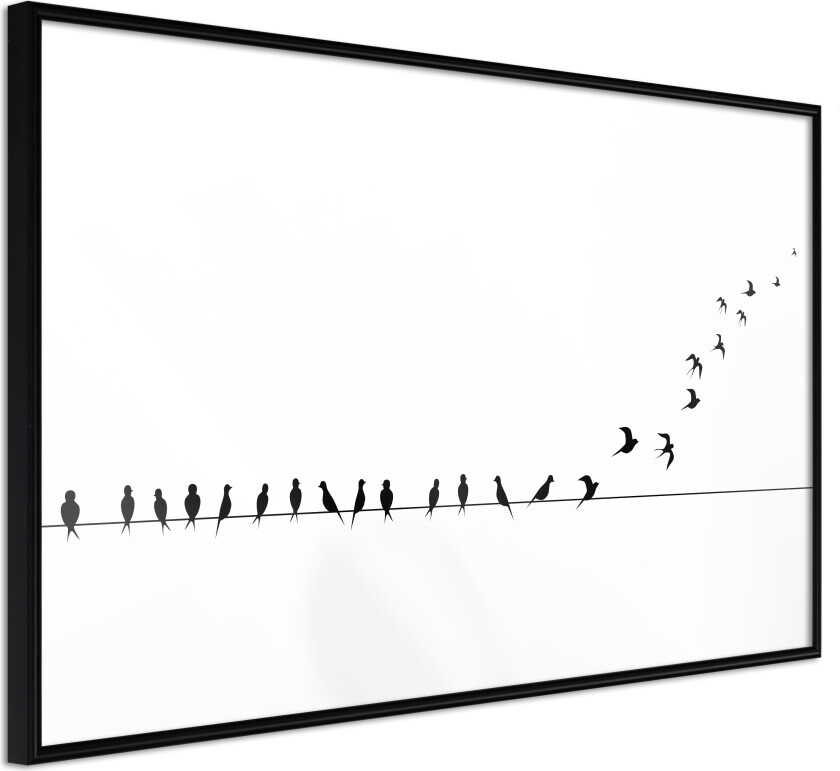 ARTGEIST Plakat med ramme - Birds on a Wire Gull med passepartout 90x60