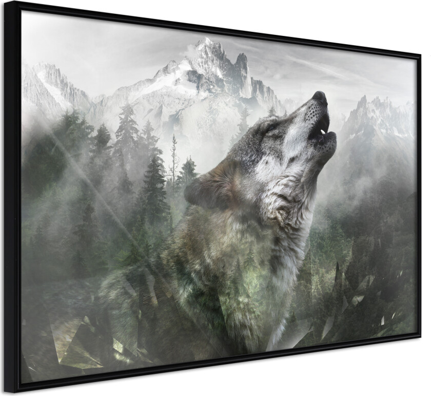 ARTGEIST Plakat med ramme - Wolf's Territory Gull med passepartout 90x60