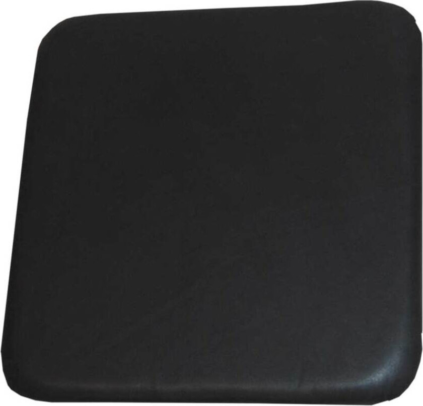 VAREMERKE LIVING sittepute - ekte sort skinn, egnet for barkrakk