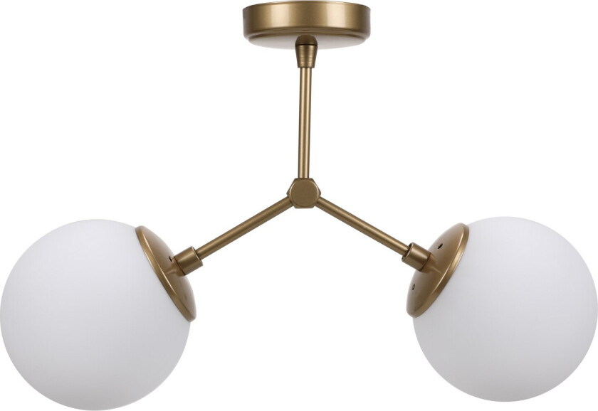 Astralis lysekrone -892OPV1643