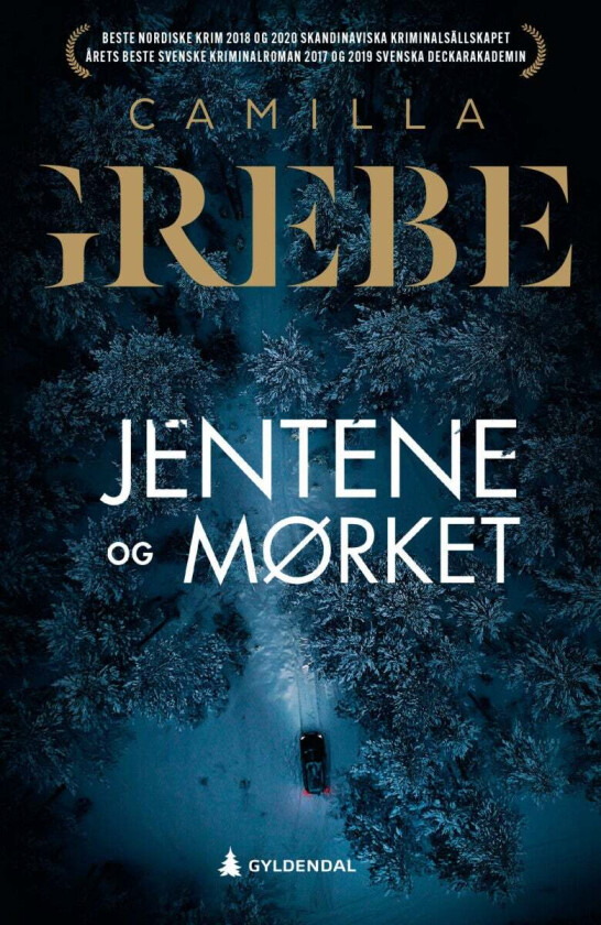 Jentene og mørket av Camilla Grebe