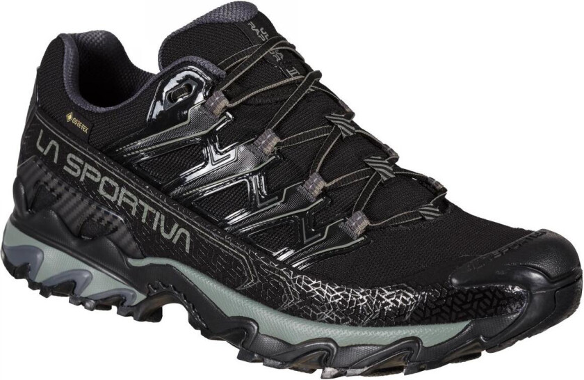 Ultra Raptor II Gtx Hikingsko Herre, 999909 Black/Clay, 44