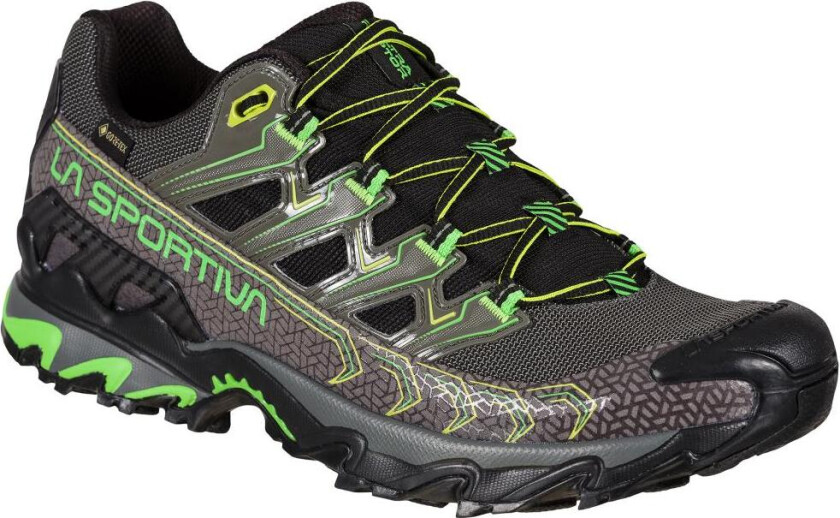 Ultra Raptor II Gtx Hikingsko Herre, 917724 Metal/Flash Green, 48.5