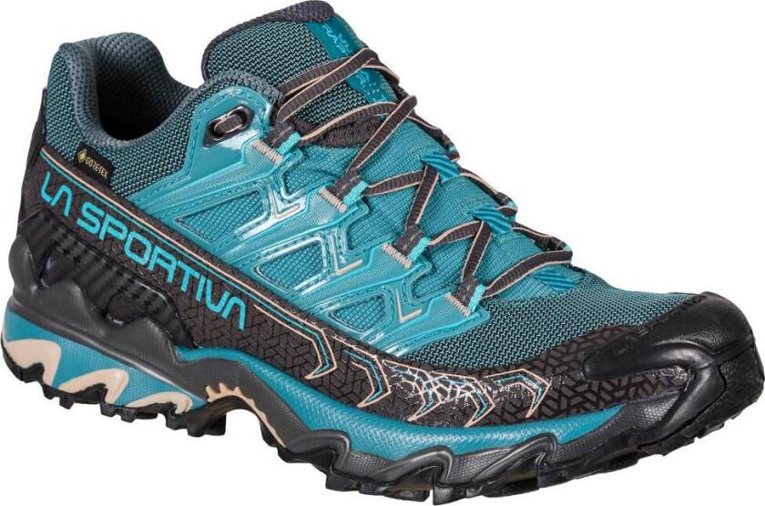 Ultra Raptor II Gtx W´S Hikingsko Dame, 624900 Topaz/Carbon, 43