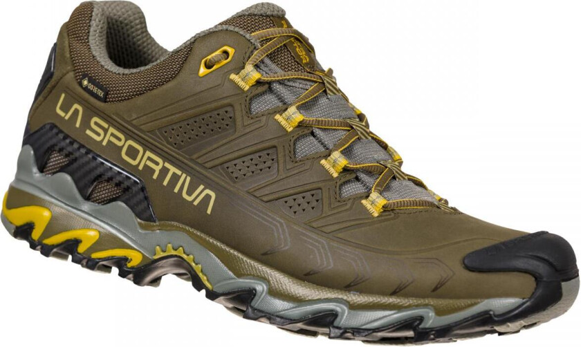 Ultra Raptor II Leather Gtx Hikingsko Herre, 810811 Ivy/Cedar, 44