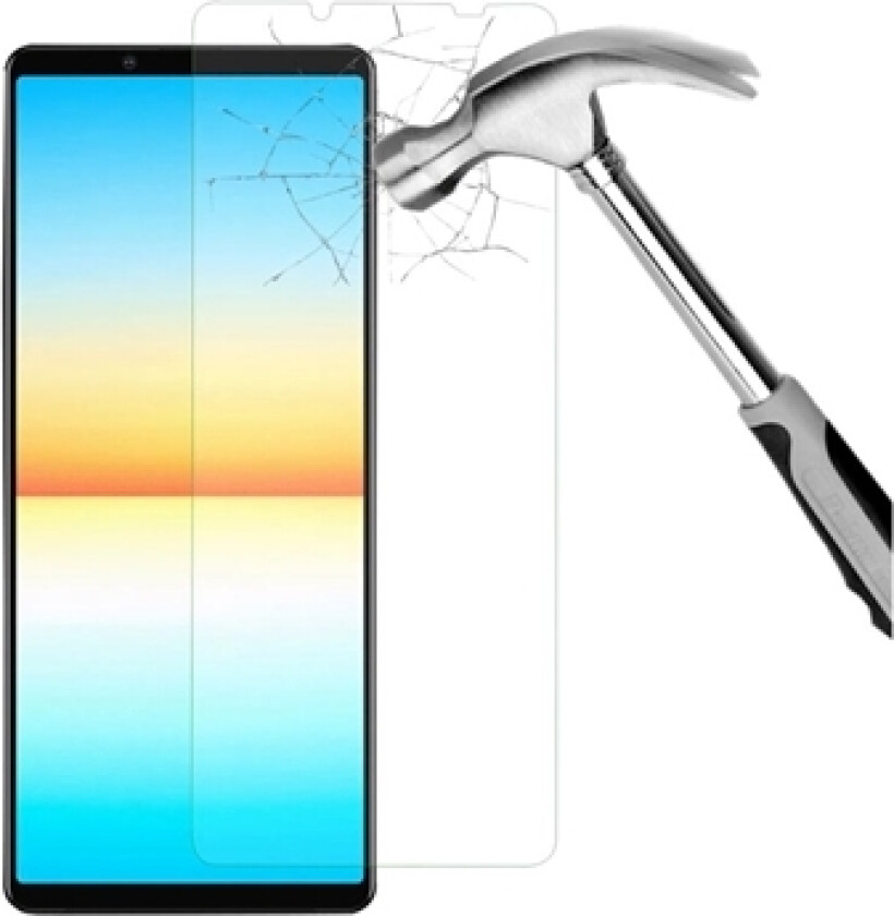 Sony Xperia 10 V Skjermbeskyttere Panzerglass - Klar