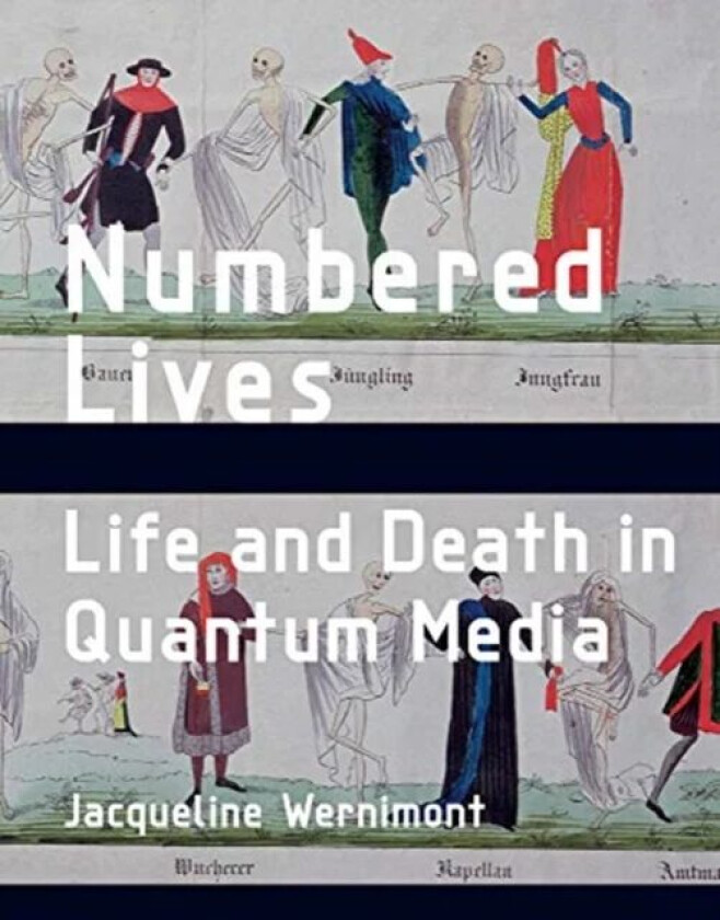 Numbered Lives av Jacqueline (Assisstant Professor Arizona State University) Wernimont