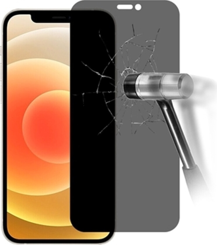 iPhone 12 Mini Personvern Skjermbeskyttere Panzerglass