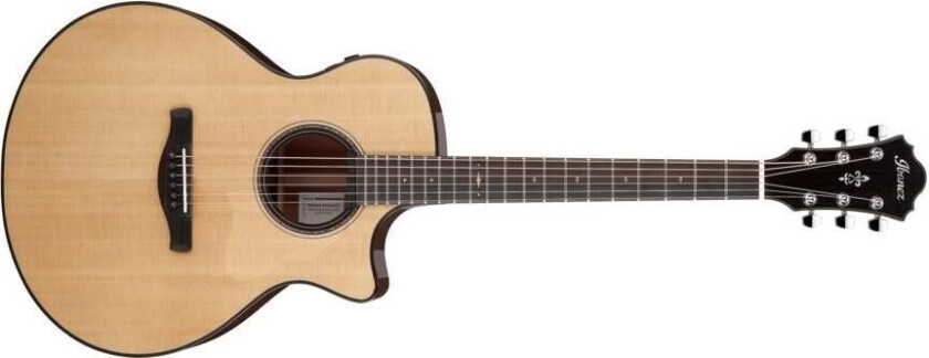 Ae410-Lgs Gitar M/mik & Case Platinum Collection