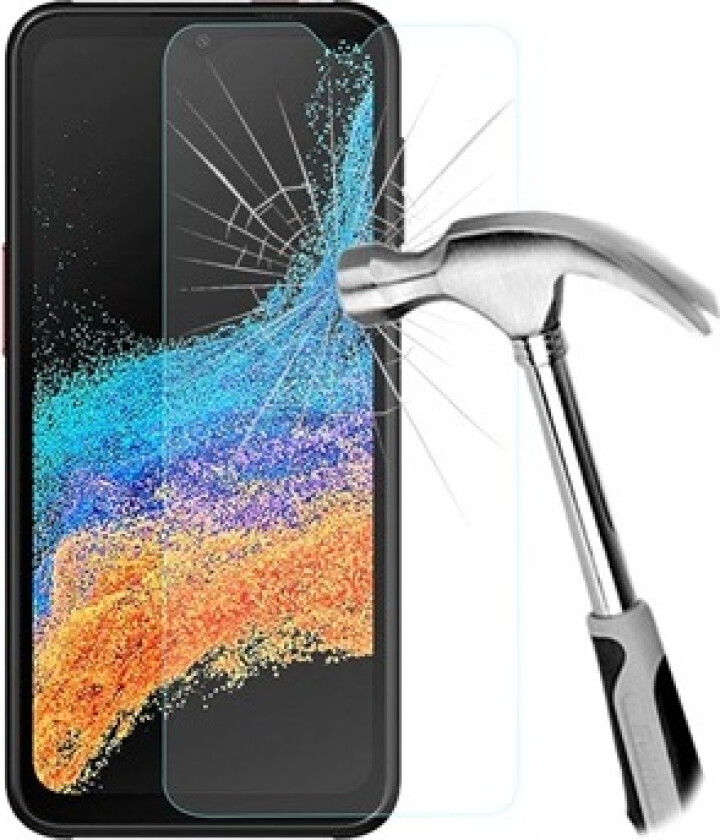 Samsung Galaxy Xcover6 Pro Skjermbeskyttere Panzerglass - Klar