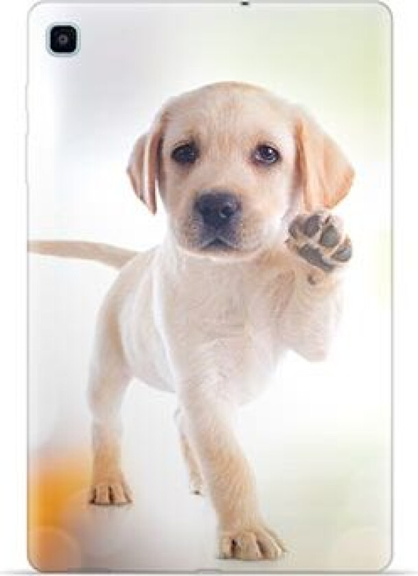 Samsung Galaxy Tab S6 Lite 2020/2022 TPU-deksel - Hund