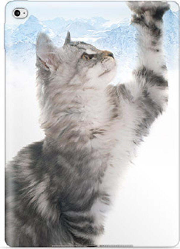 iPad 10.2 2019/2020/2021 TPU-deksel - Kat