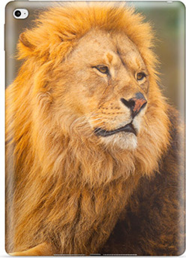 iPad 10.2 2019/2020 TPU-deksel - Løve