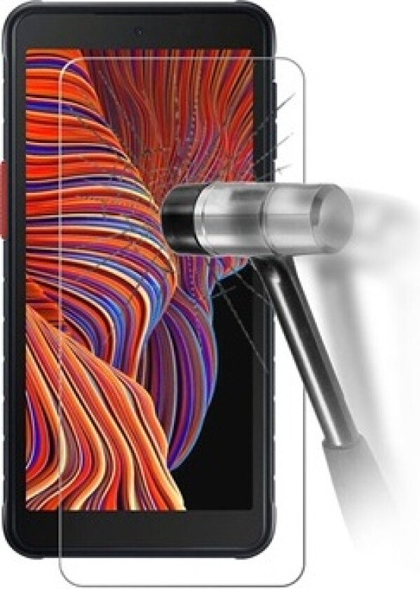 Samsung Galaxy Xcover 5 Skjermbeskyttere Panzerglass - 9H, 0.3mm - Klar