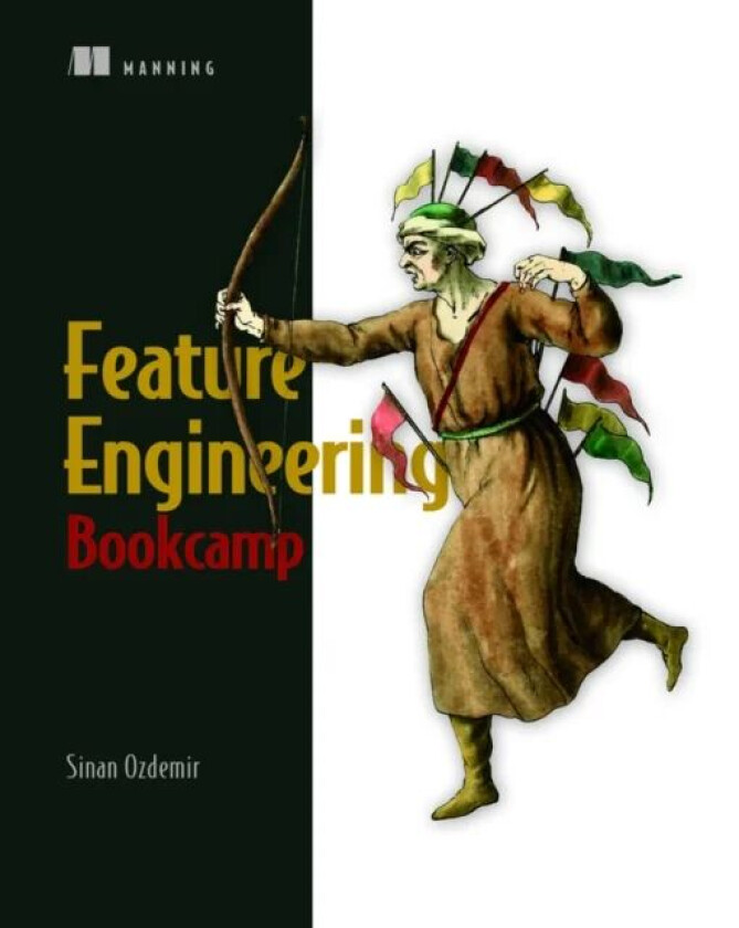 Feature Engineering Bookcamp av Sinan Ozdemir
