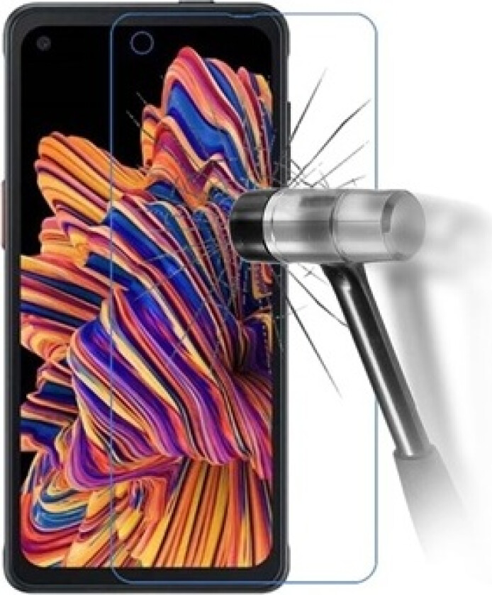 Samsung Galaxy Xcover Pro Skjermbeskyttere Panzerglass - 9H - Klar