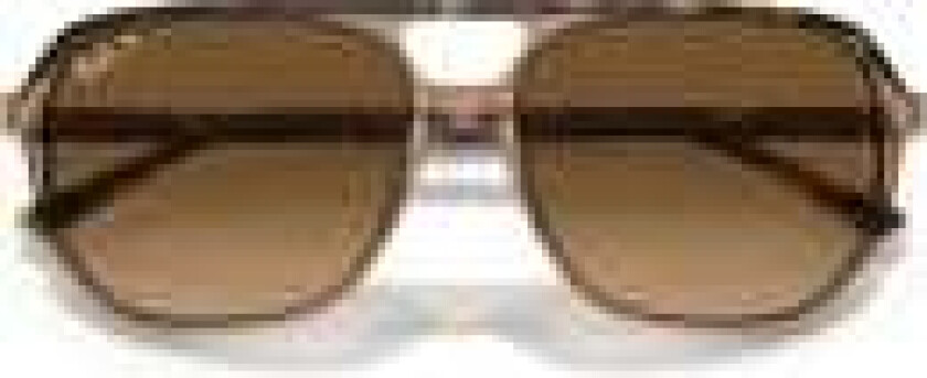 Bill One RB2205-1292M2 Polarized