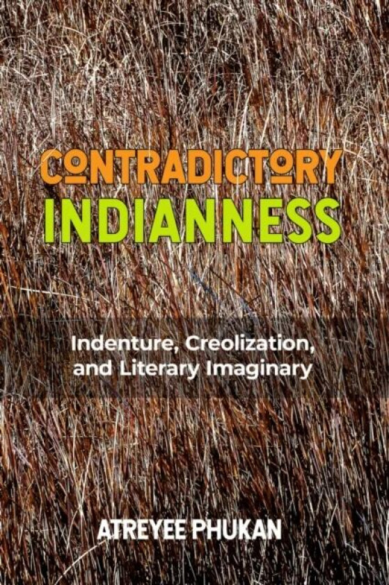 Contradictory Indianness av Atreyee Phukan