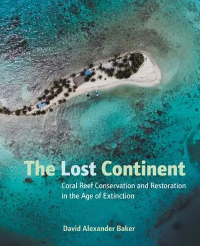 The Lost Continent av David Baker
