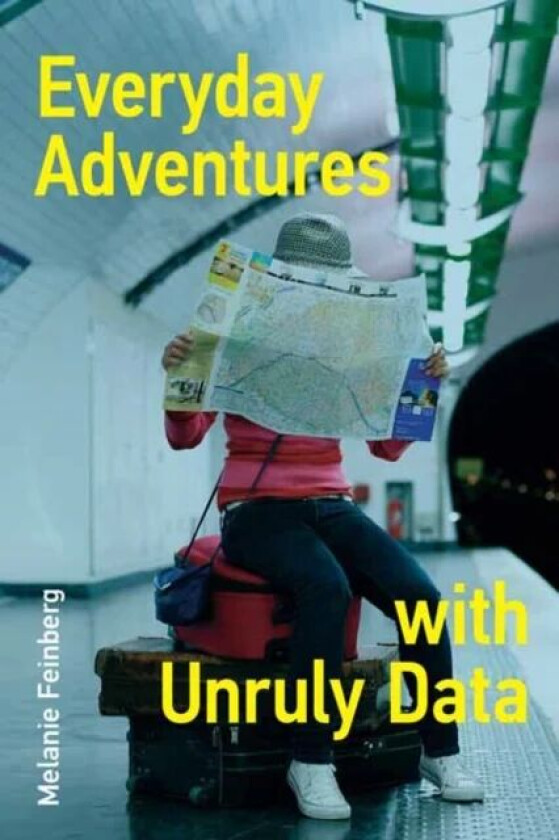 Everyday Adventures with Unruly Data av Melanie Feinberg