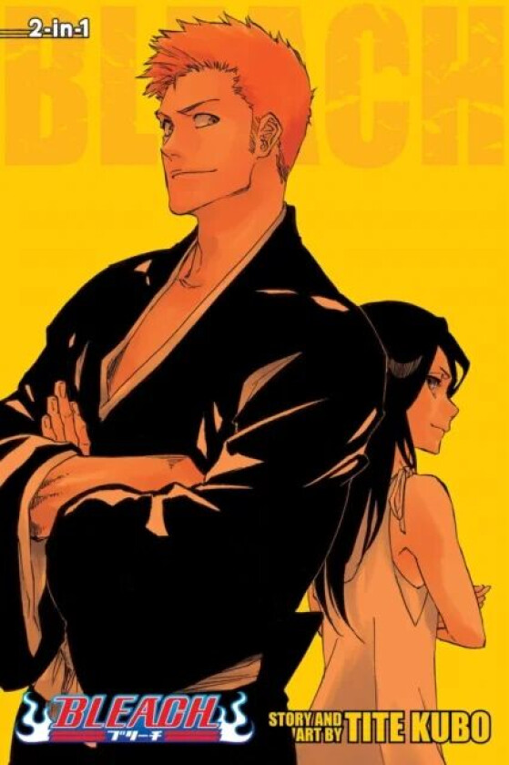 Bleach (2-in-1 Edition), Vol. 25 av Tite Kubo