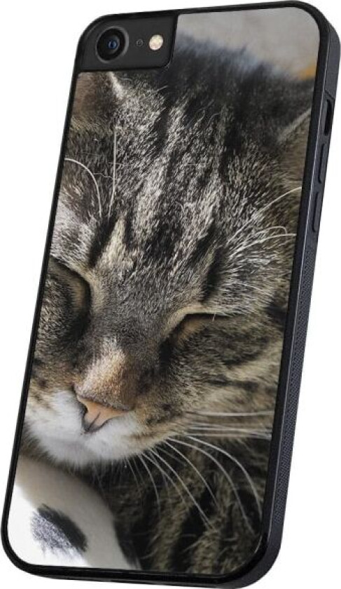 iPhone 6/7/8/SE - Deksel/Mobildeksel Sovende Katt Multicolor