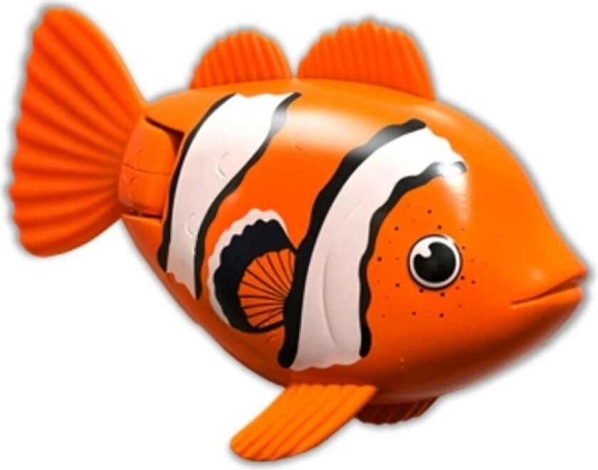 Rainbow Reef Fish - Clown Fish