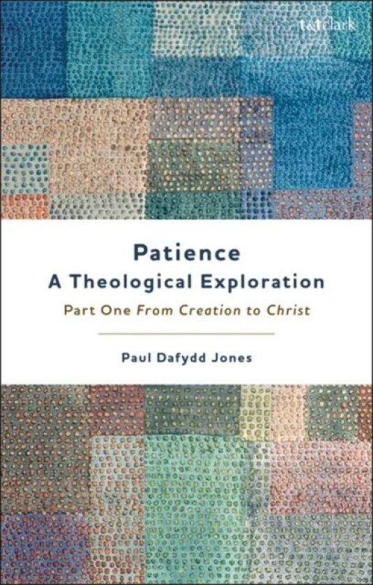 Patience¿A Theological Exploration av Dr Paul Dafydd (University of Virginia USA) Jones