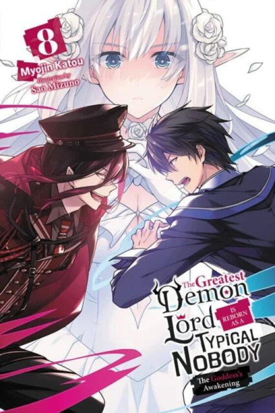 The Greatest Demon Lord Is Reborn as a Typical Nobody, Vol. 8 (light novel) av Myojin Katou