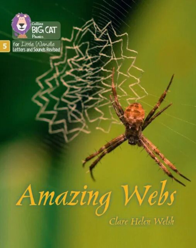 Amazing Webs av Clare Helen Welsh