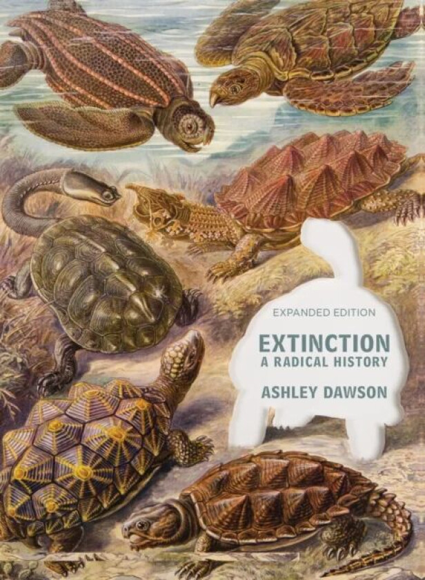 Extinction av Ashley Dawson