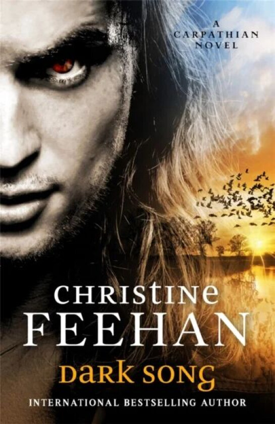 Dark Song av Christine Feehan