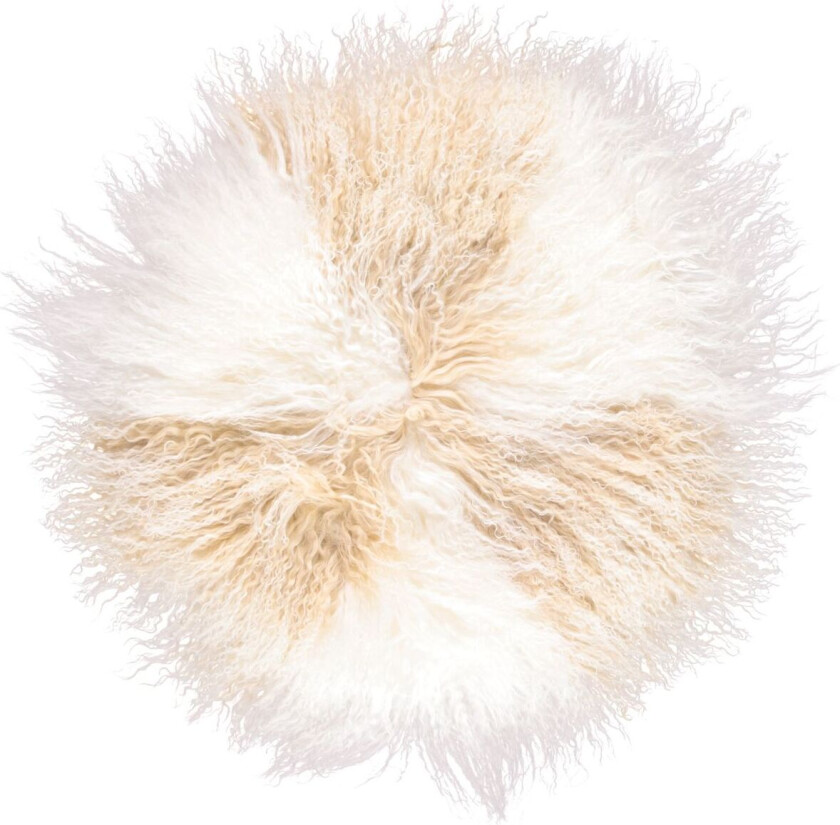 Krøllete kakepute | Ø38 cm | Ø45 cm | Ø62 cm