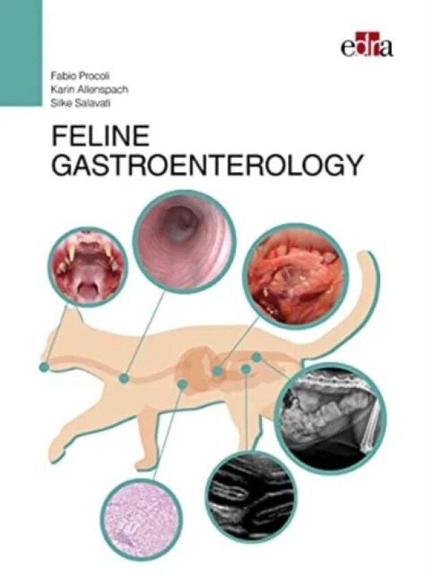 FELINE GASTROENTEROLOGY av Fabio Procoli, Karin Allenspach, Silke Salavati
