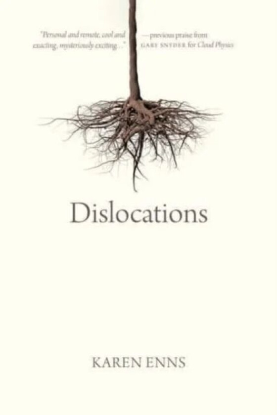 Dislocations av Karen Enns