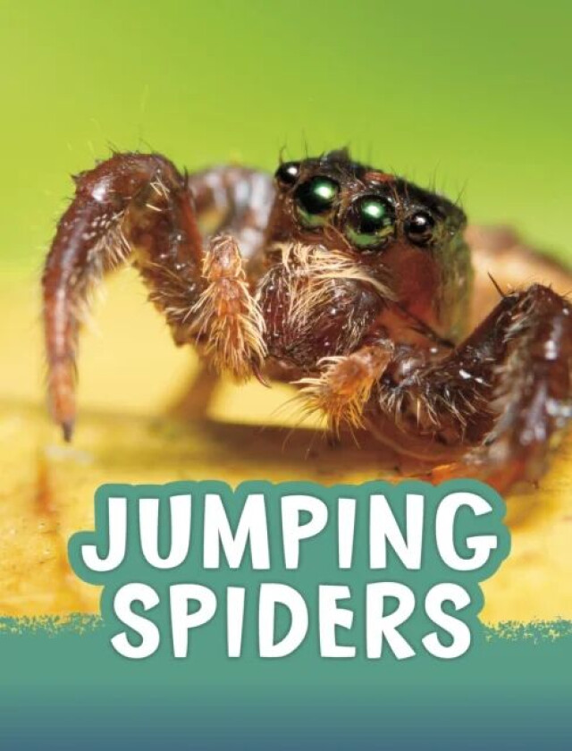 Jumping Spiders av Jaclyn Jaycox
