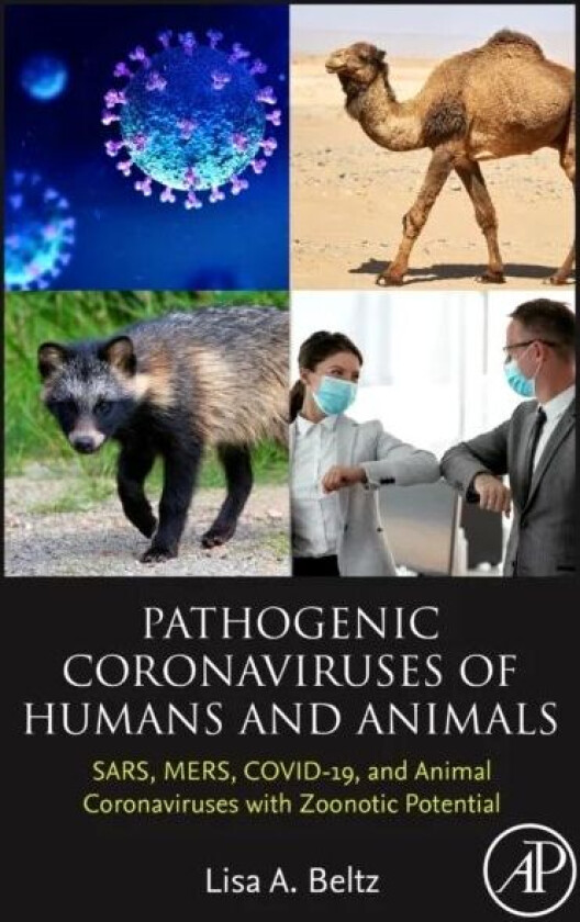 Pathogenic Coronaviruses of Humans and Animals av Lisa A. (University of Northern Iowa USA) Beltz