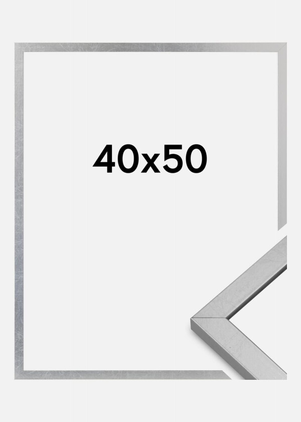 Ramme Minerva Akrylglass Sølv 40x50 Cm