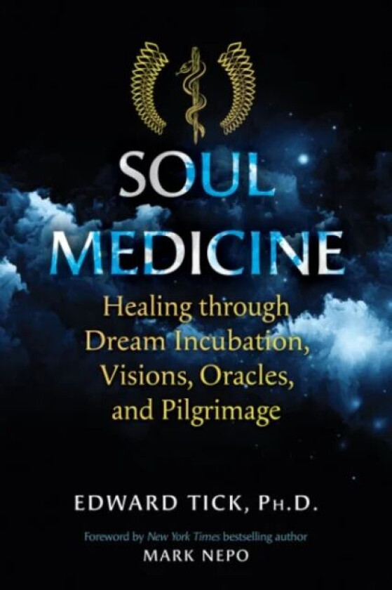 Soul Medicine av Edward Tick