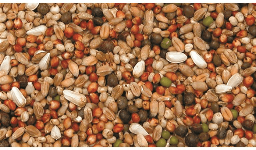 Dueblanding arnes 25kg