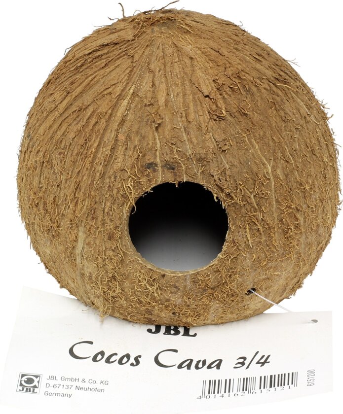 JBL Kokoshule-Cocos Cava - 3/4 large