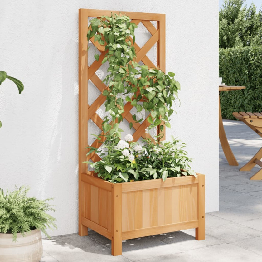 Plantekasse med espalier brun heltre gran