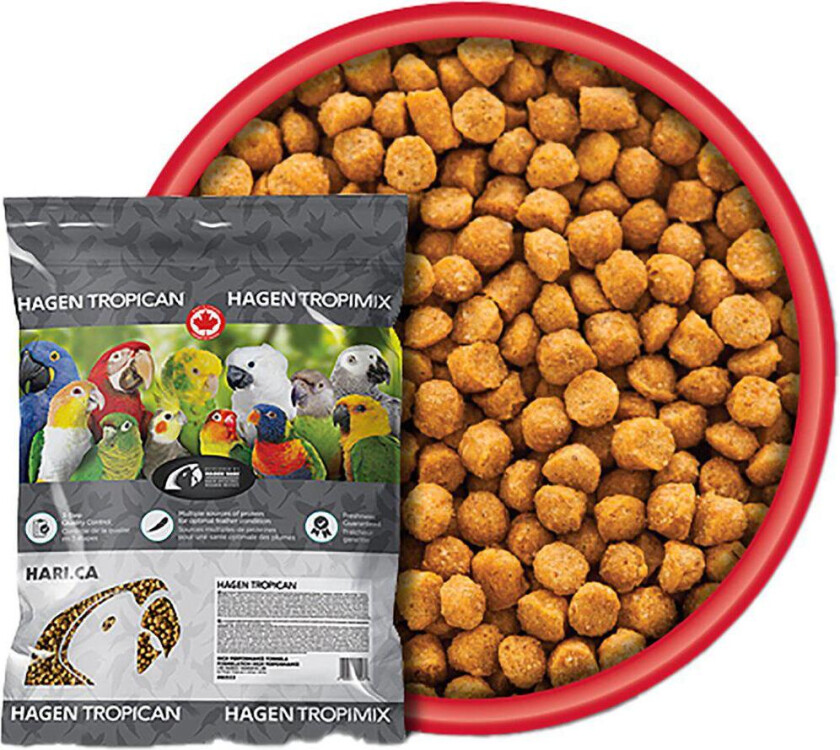 Tropican Avel granulater, små papegøyer