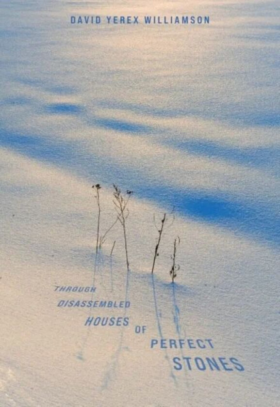 Through Disassembled Houses of Perfect Stones av David Williamson