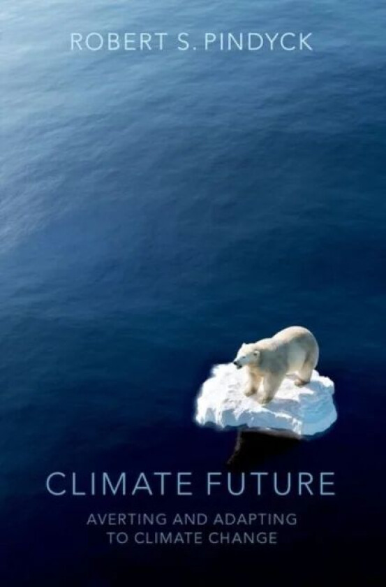 Climate Future av Robert S. (Bank of Tokyo-Mitsubishi Profe Pindyck